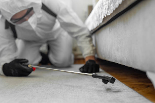 Professional Termite Control technician working in Garden Plain, KS