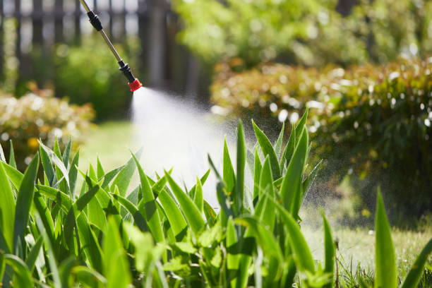 24/7 Emergency Termite Control experts in Garden Plain, KS